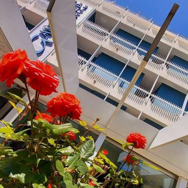 GAMBRINUS Bike & Art Hotel